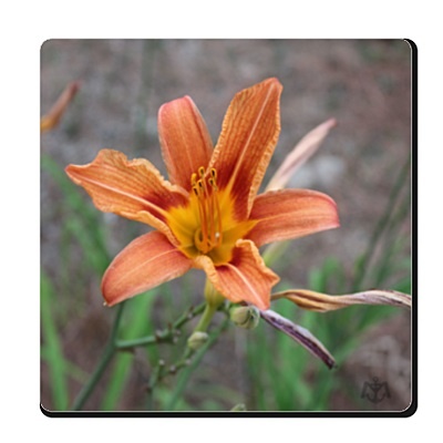 flower_400x400